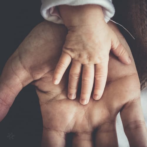Father holding child hand in the palm of his hand